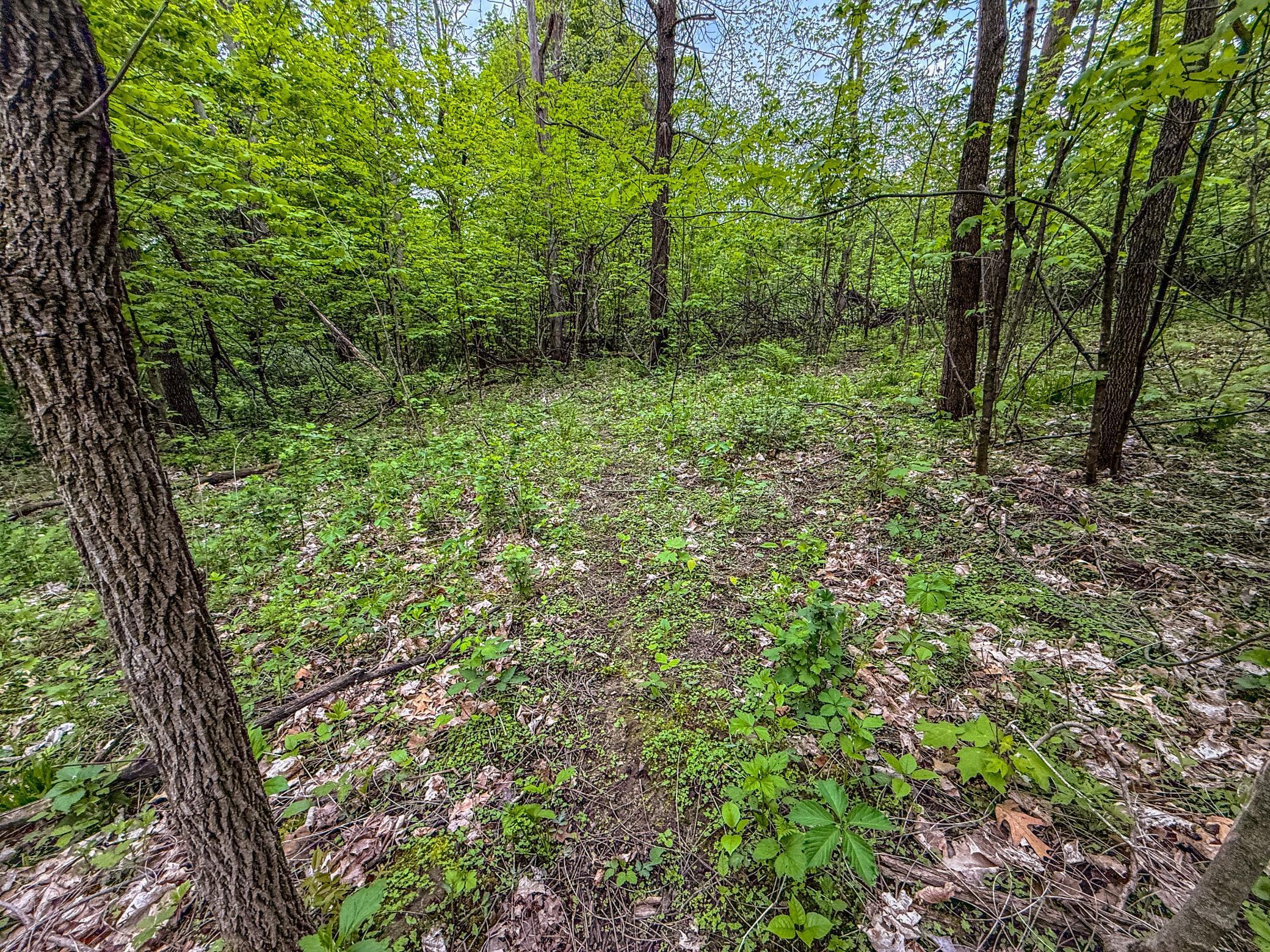TBD 75th Street, Byron, Minnesota image 31