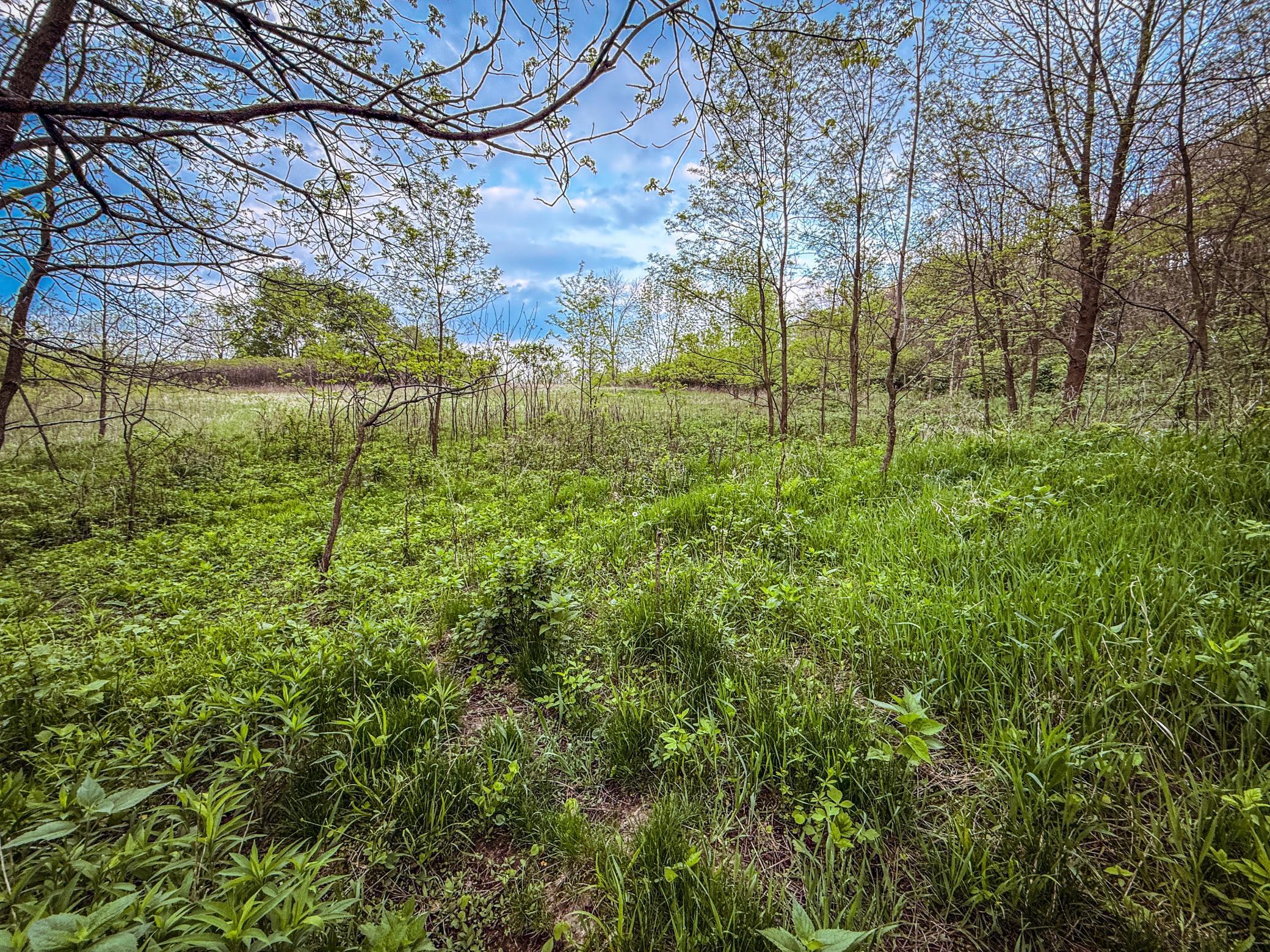 TBD 75th Street, Byron, Minnesota image 34