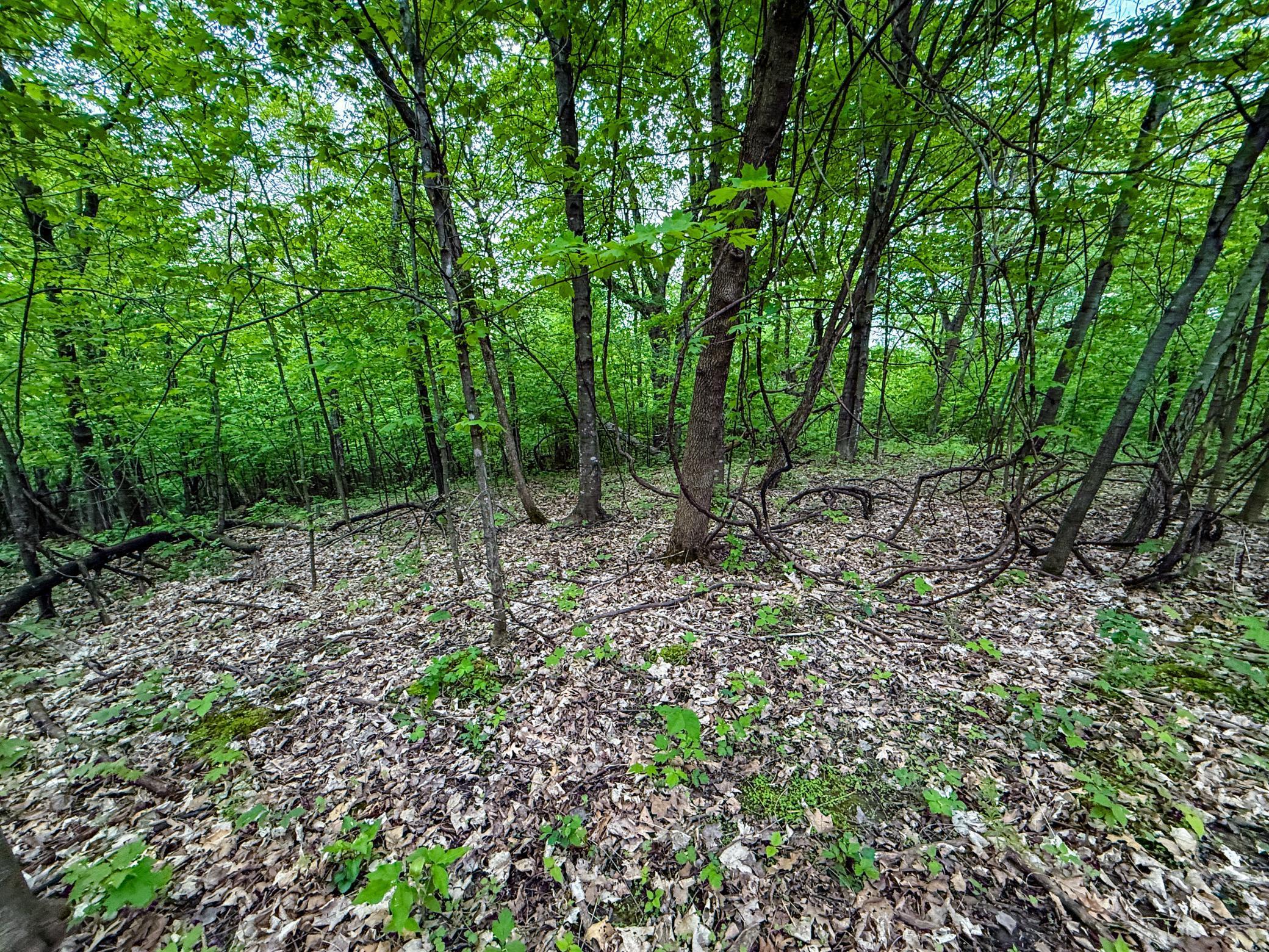 TBD 75th Street, Byron, Minnesota image 30