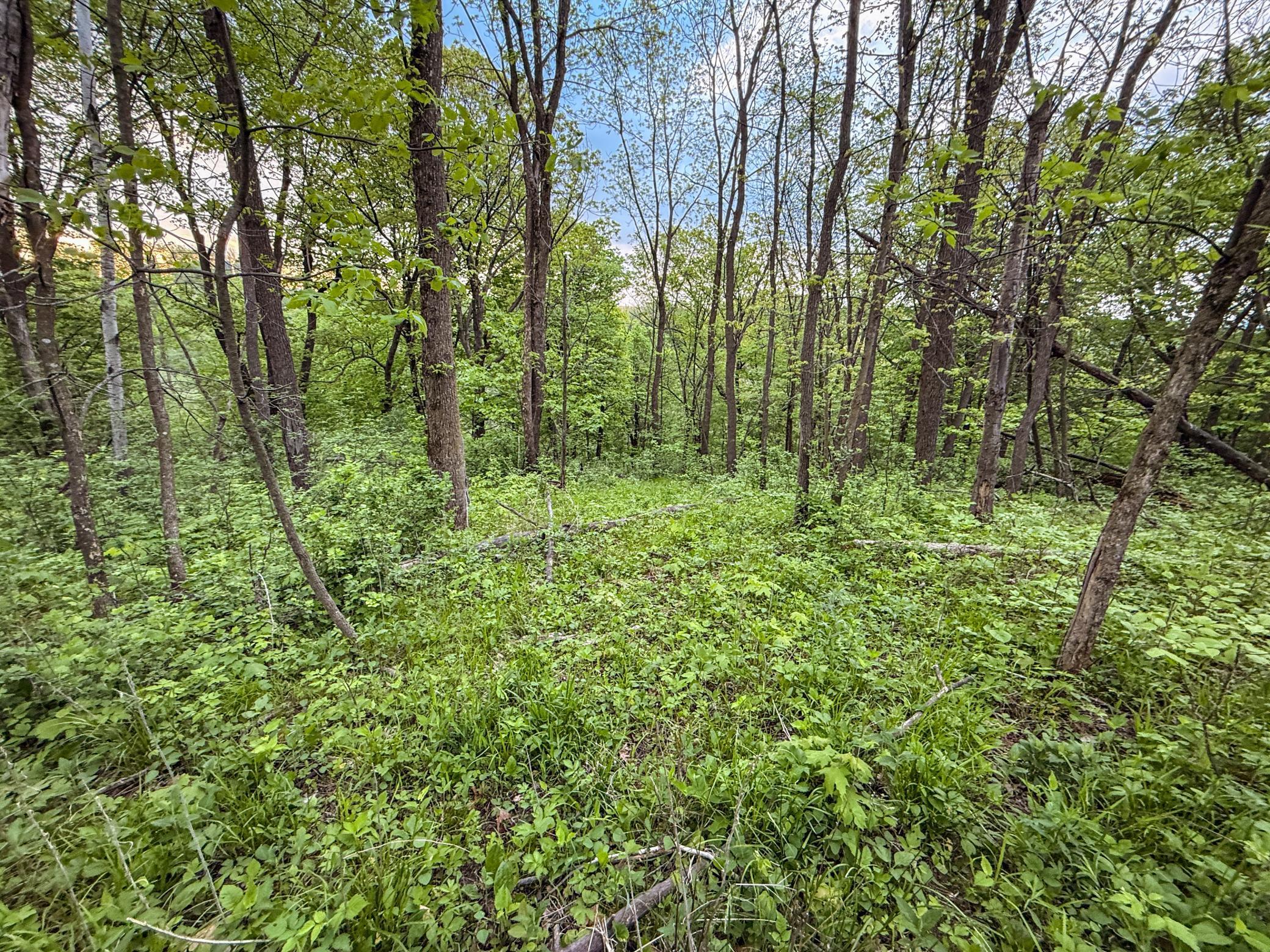 TBD 75th Street, Byron, Minnesota image 38