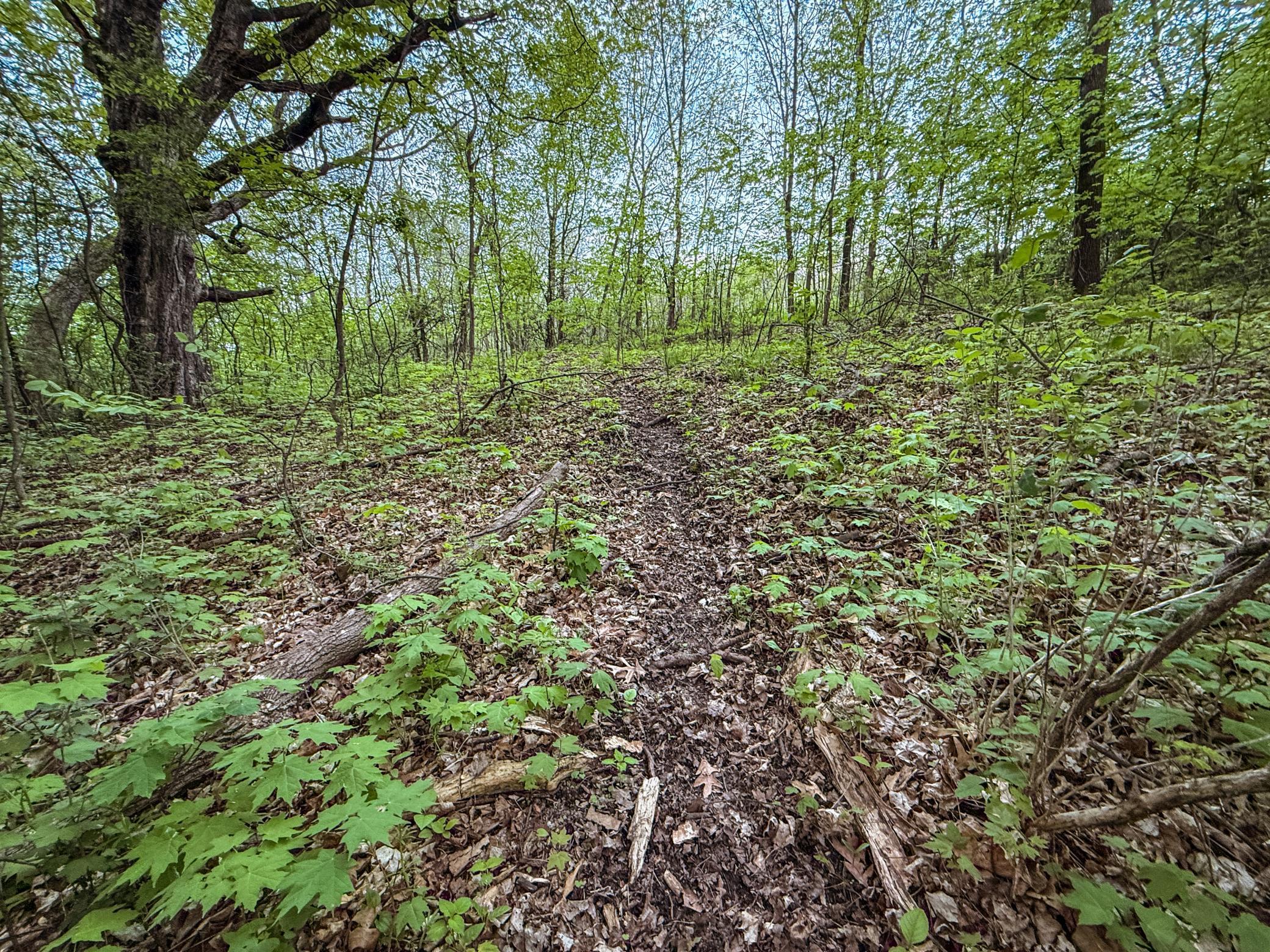 TBD 75th Street, Byron, Minnesota image 33