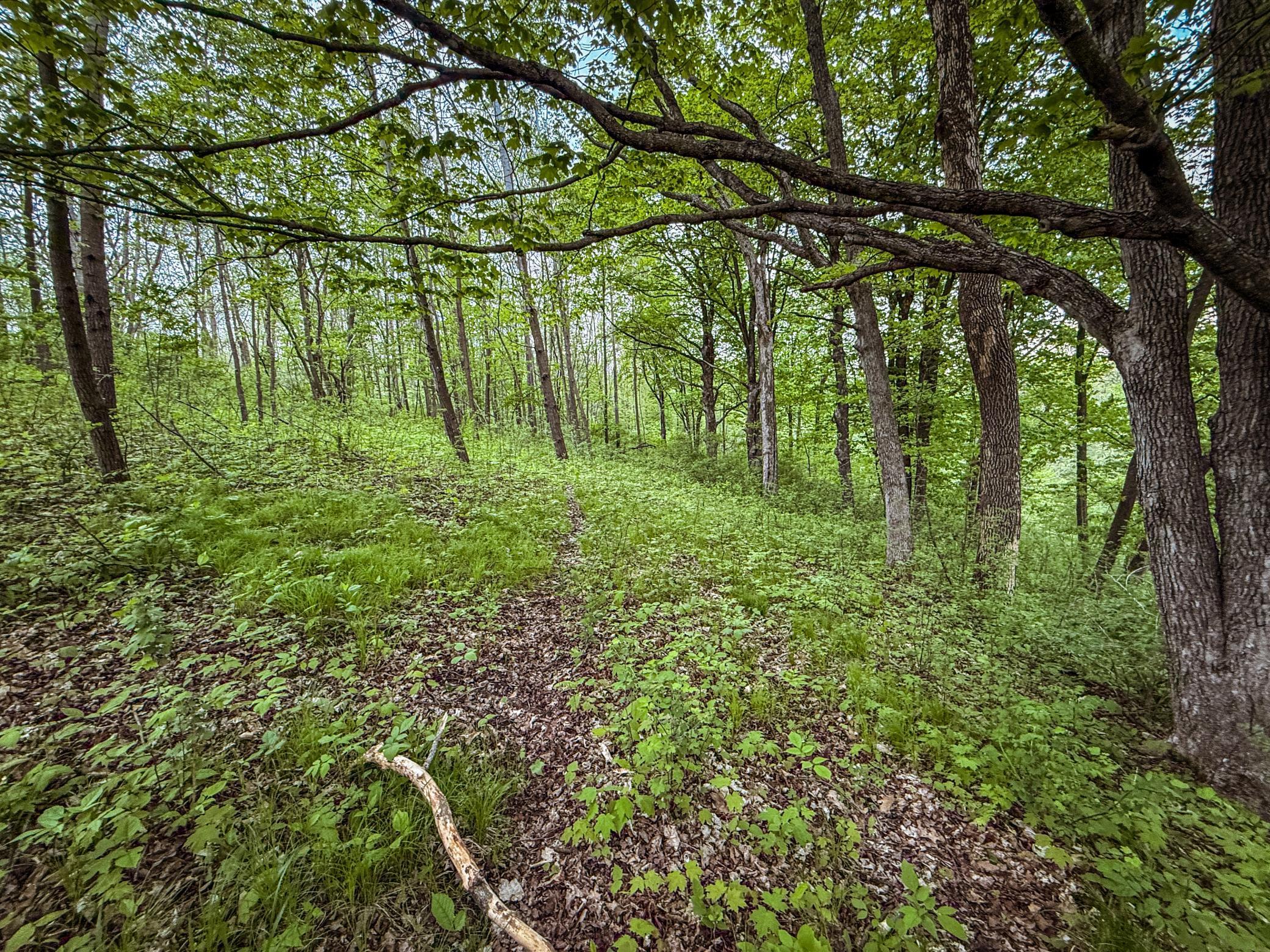 TBD 75th Street, Byron, Minnesota image 39