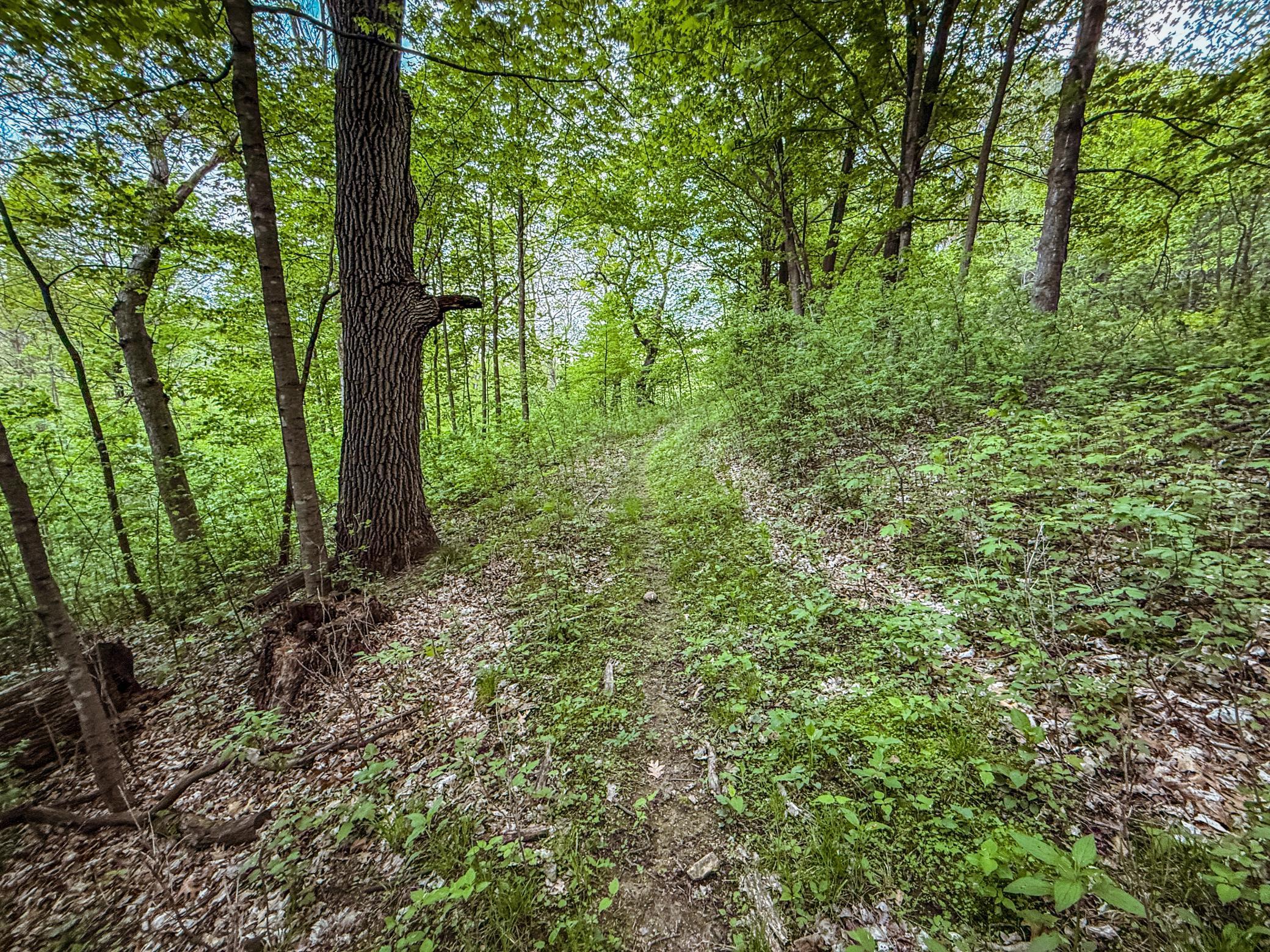 TBD 75th Street, Byron, Minnesota image 44