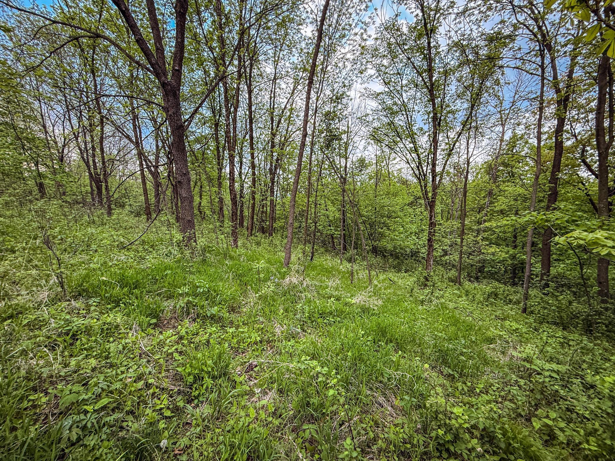 TBD 75th Street, Byron, Minnesota image 37