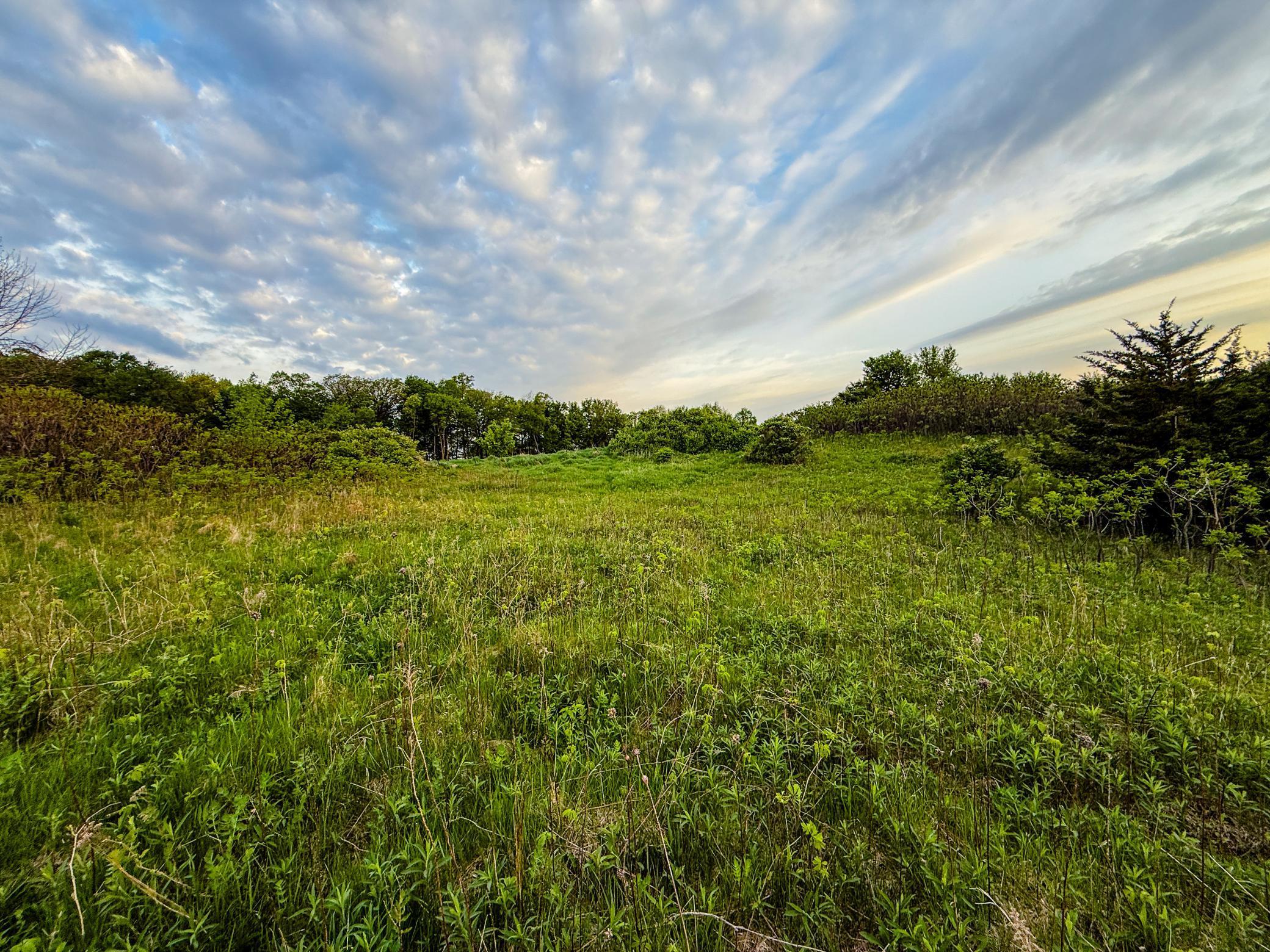 TBD 75th Street, Byron, Minnesota image 27