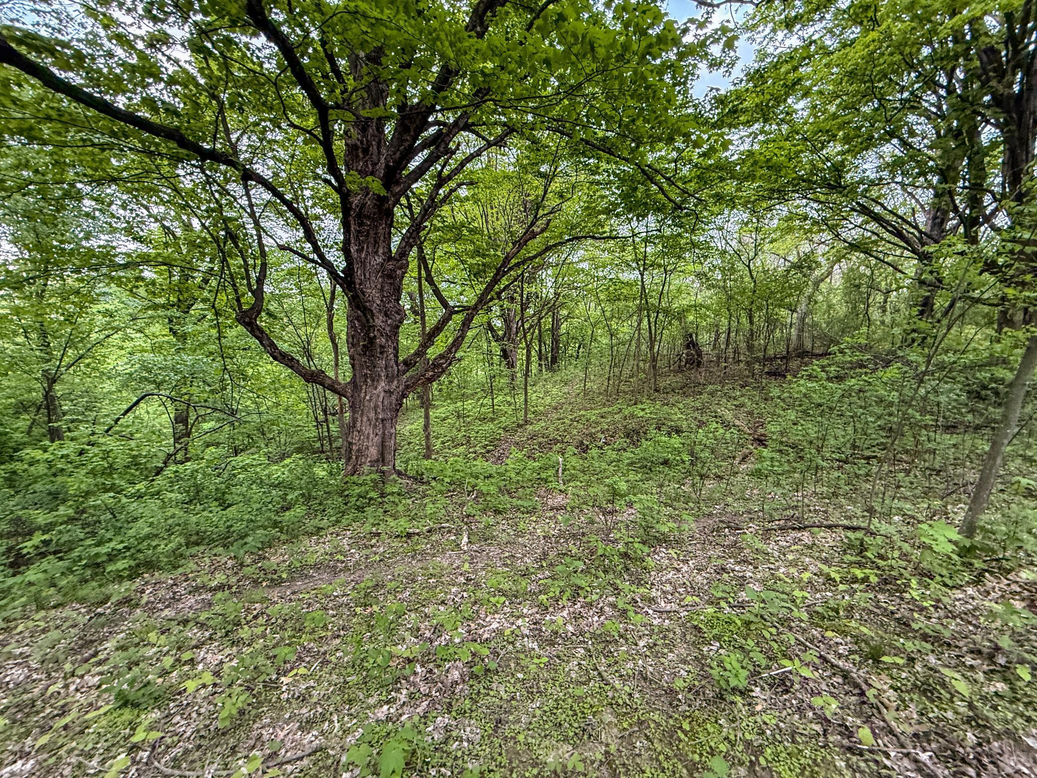 TBD 75th Street, Byron, Minnesota image 32