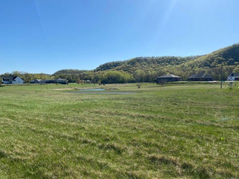 Vacant Land For Sale - 1515 Wildwood Drive<br/> Wabasha County, Lake City, MN 55041