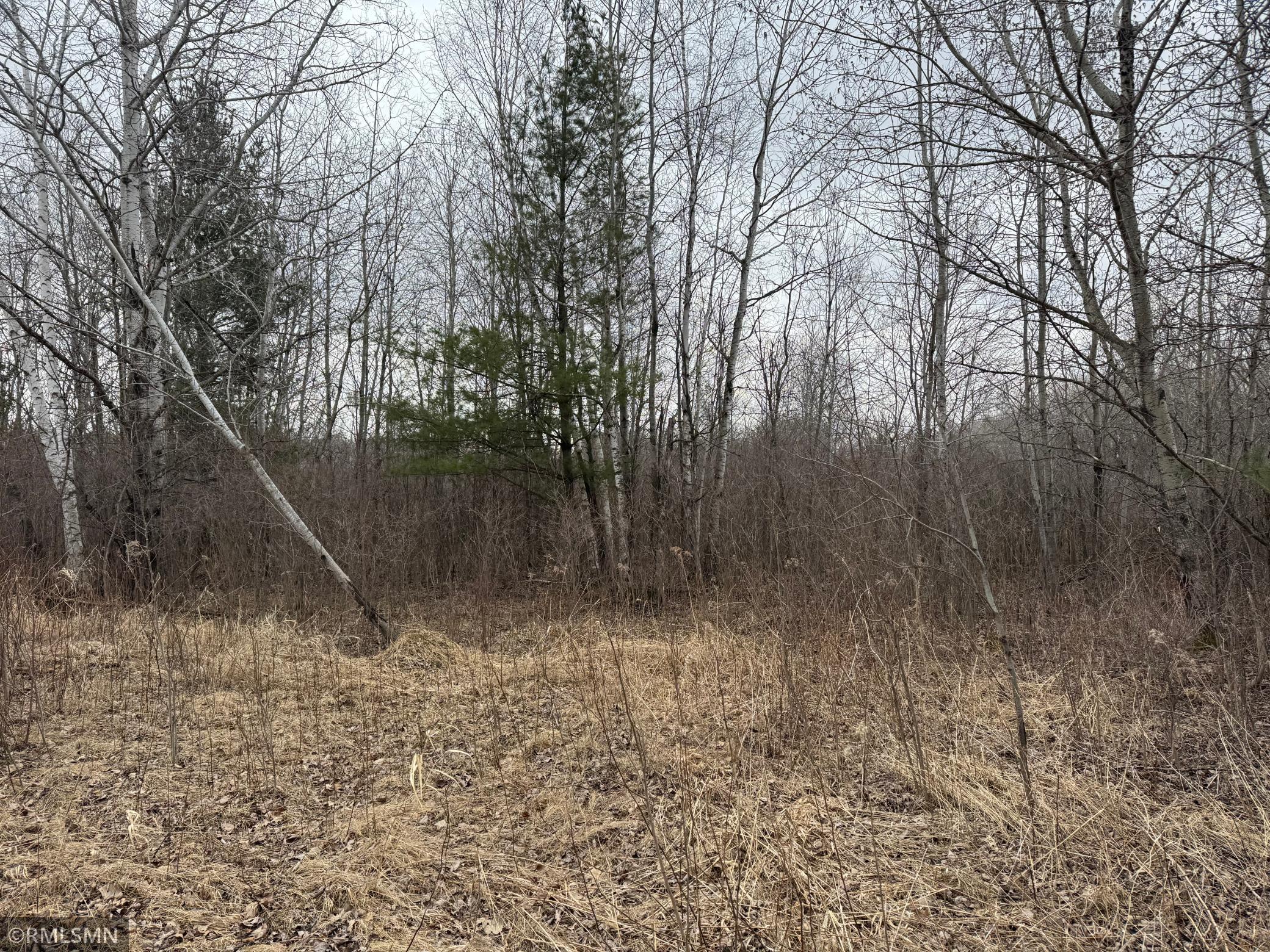 955 Fish Lake Drive, Mora, Minnesota image 6