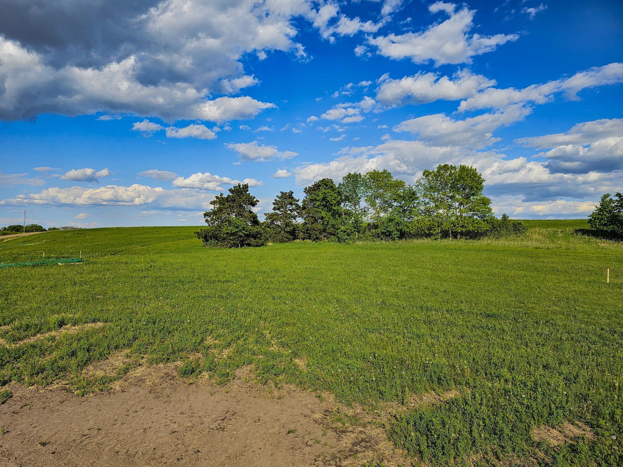 313XX 452nd St [b3], Vergas, Minnesota image 6