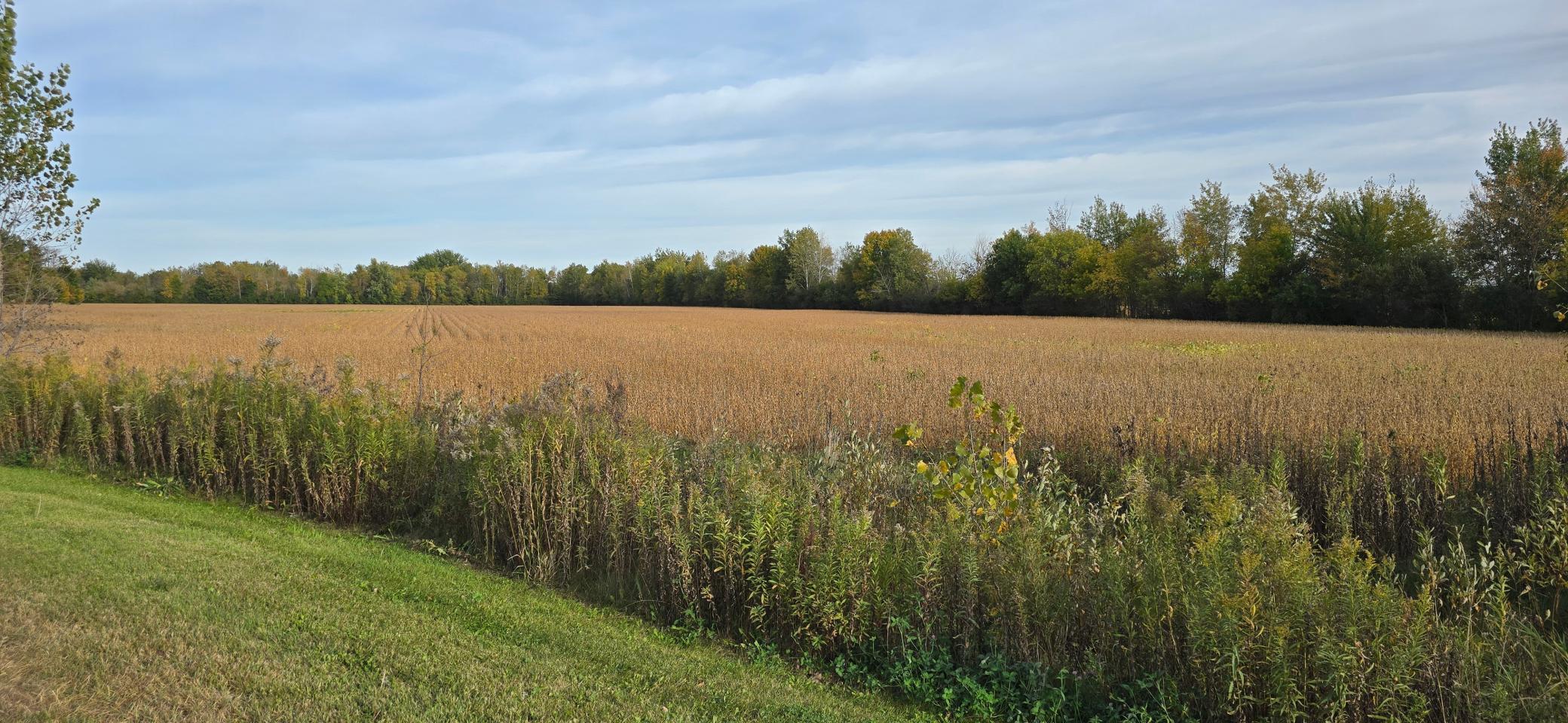 600 E Highway 23, Ogilvie, Minnesota image 4