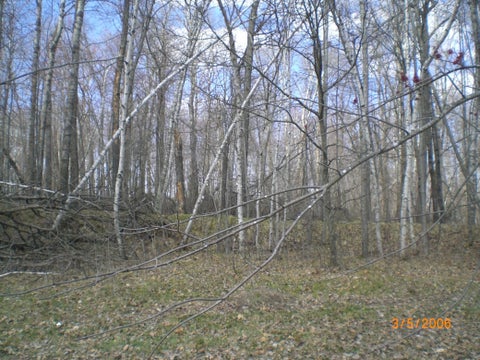 Vacant Land For Sale - LOT 211 Catskill Circle<br/> Breezy Point, MN 56472