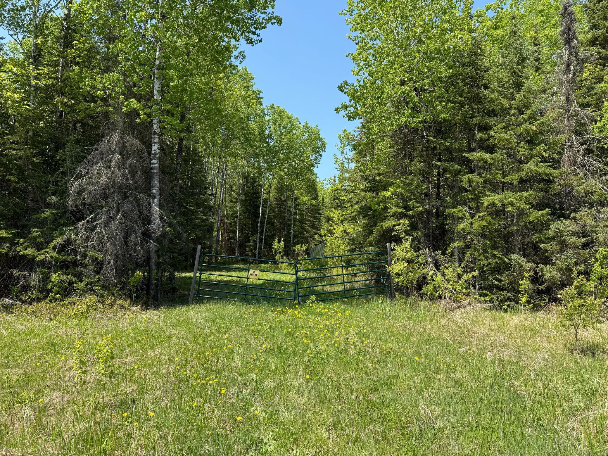 TBD County Road 526, Nashwauk, Minnesota image 3