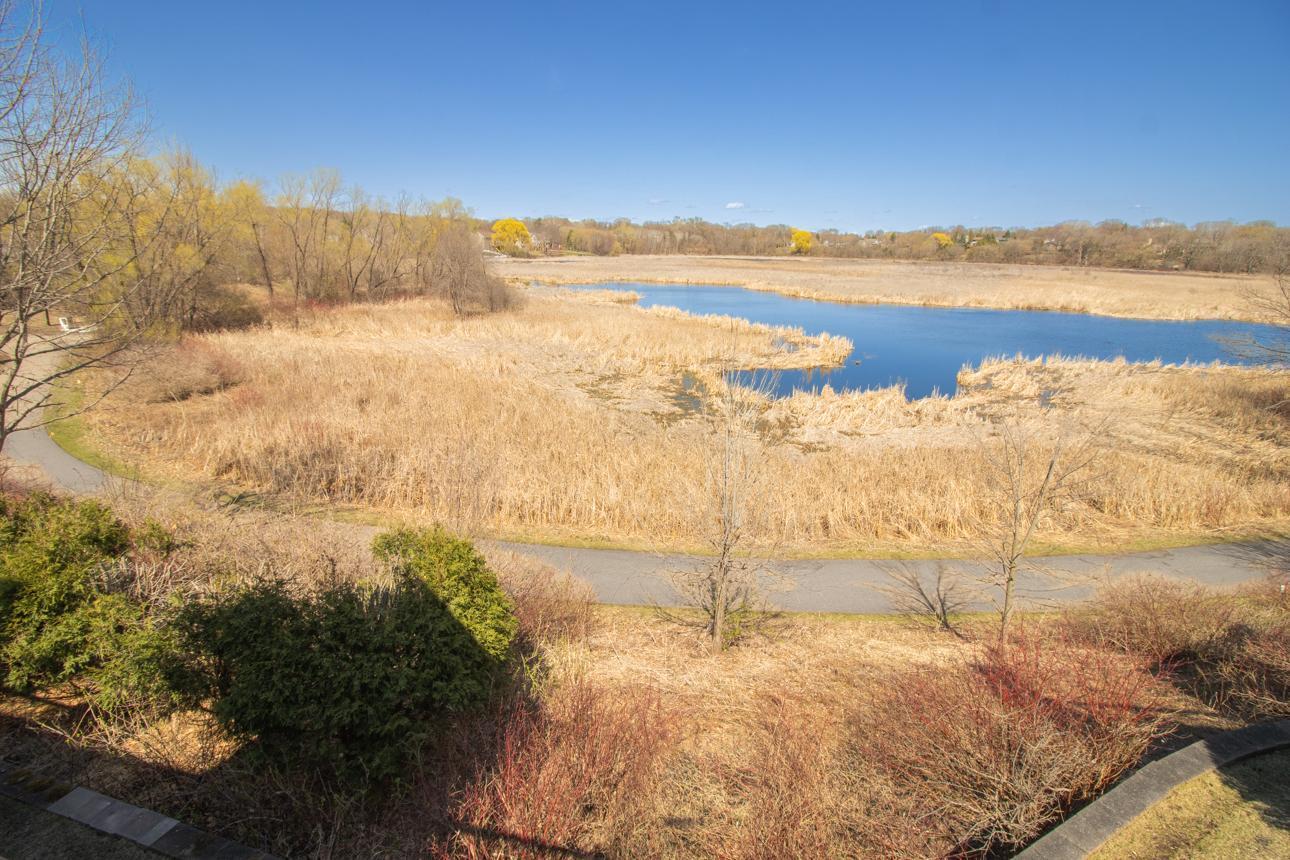 18296 Cattail Court, Eden Prairie, Minnesota image 17