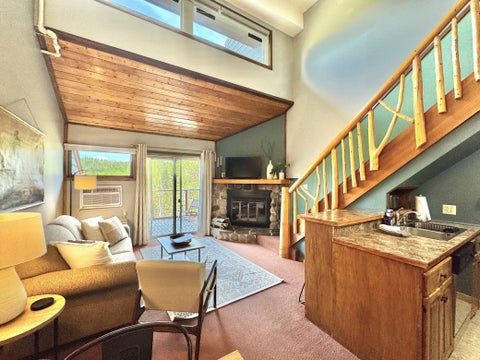 Condo For Sale - 113 Bridge Run Lane<br/> Cook County, Lutsen, MN 55612