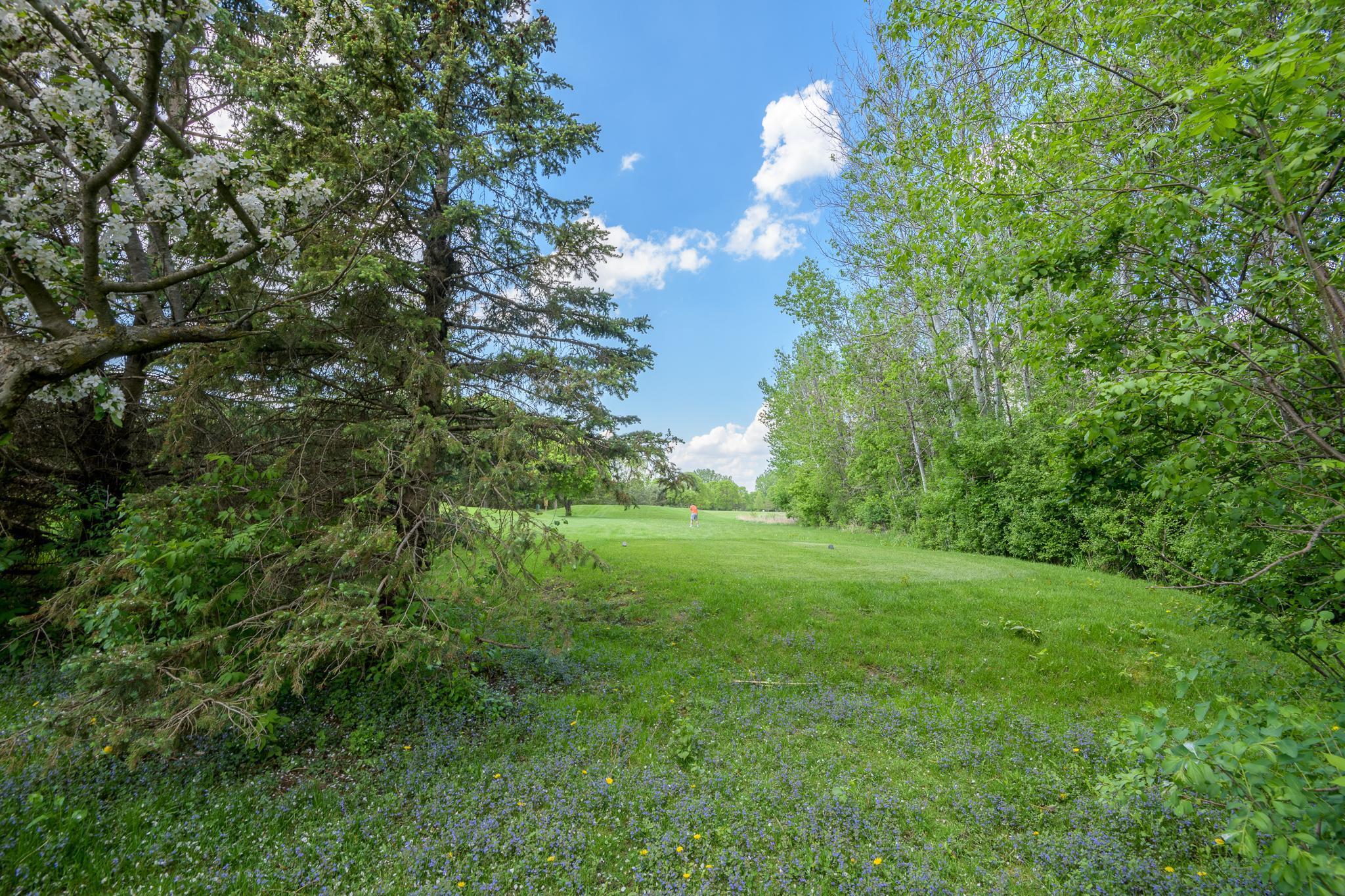 29 Pine Tree Court, Sartell, Minnesota image 7