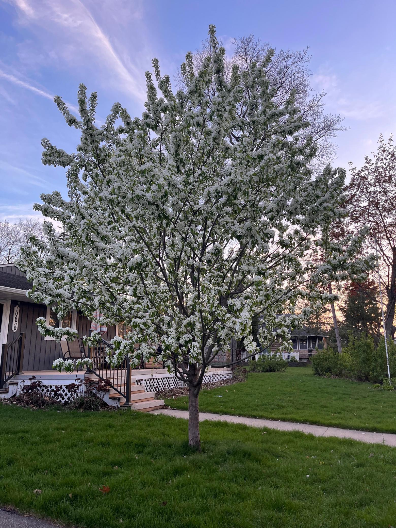 10639 Hayes Street, Chisago City, Minnesota image 22