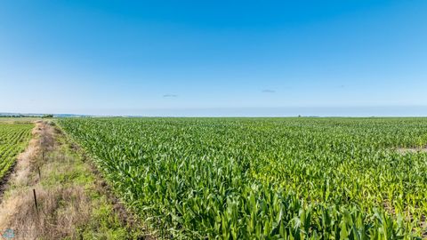 Vacant Land For Sale - TBD 94 Street<br/> Sargent County, Rutland, ND 58067