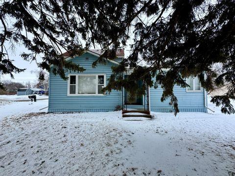 Homes For Sale - 810 2nd Street<br/> Roseau County, Roseau, MN 56751