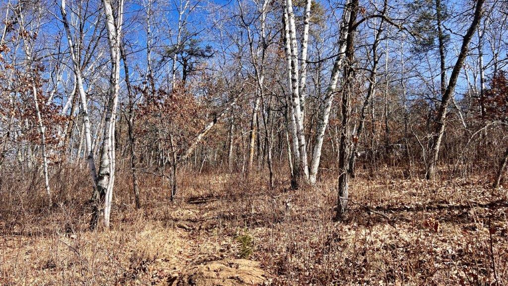 TBD Forest Pines Drive, Nevis, Minnesota image 1