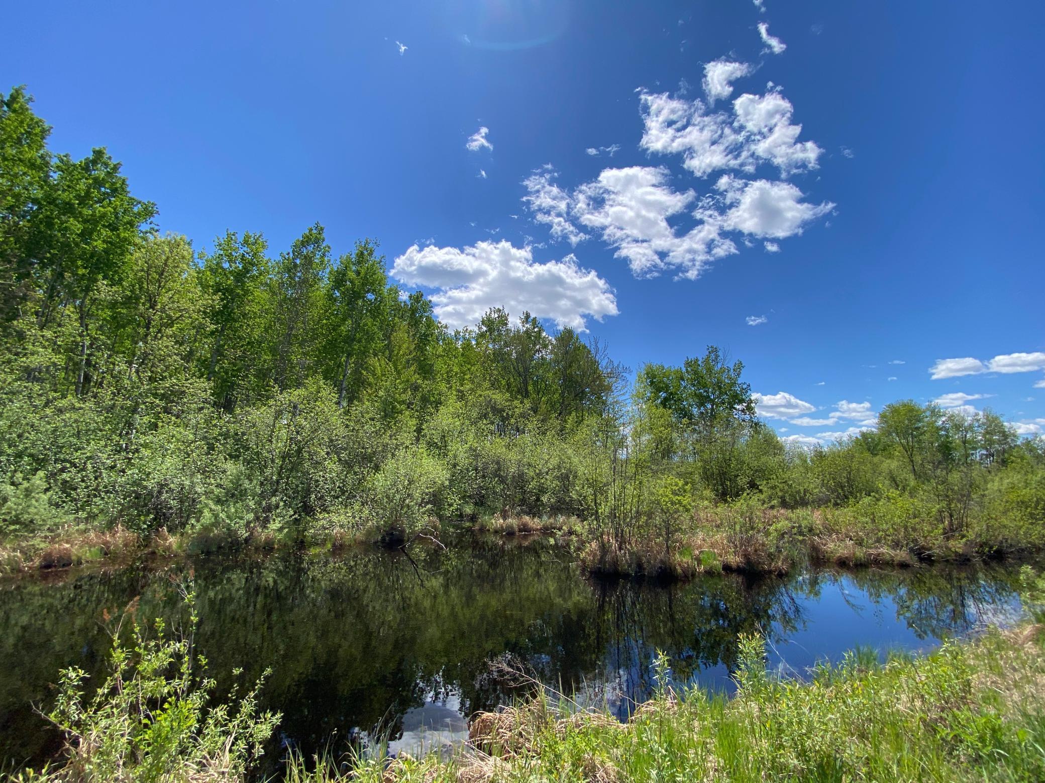16025 370th Lane, Mcgregor, Minnesota image 14