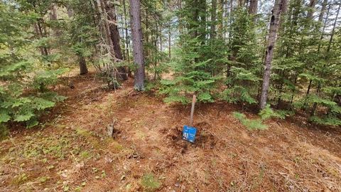 Vacant Land For Sale - 80064 Osprey Pass<br/> Saint Louis County, Tower, MN 55790