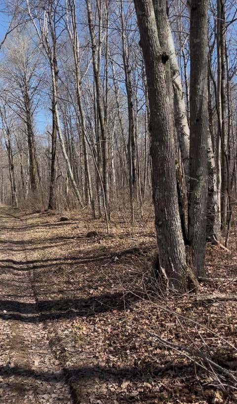 Vacant Land For Sale - 1 Tbd<br/> Hinckley, MN 55037