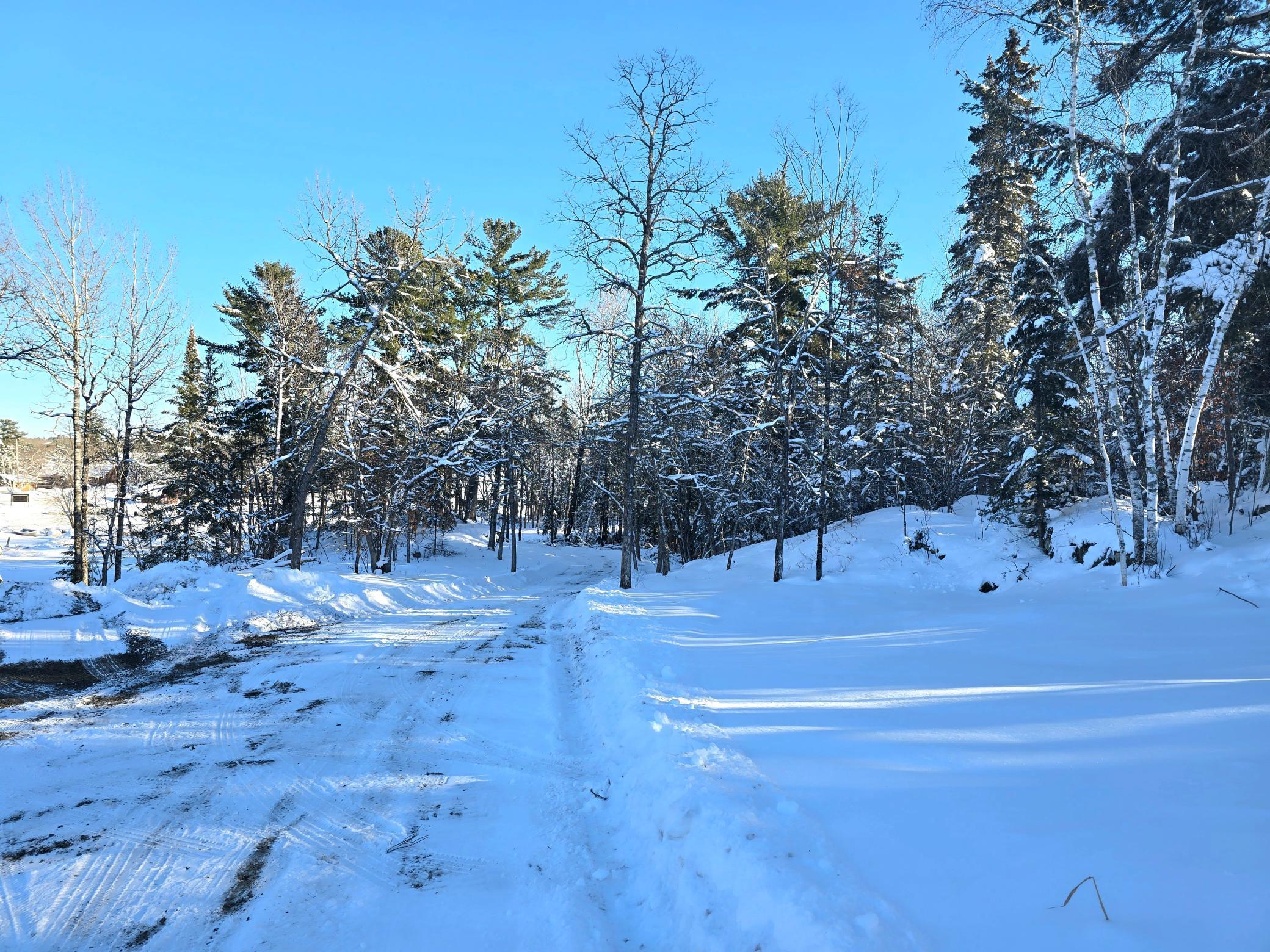 TBD Hwy 11 E Dove Island, International Falls, Minnesota image 13