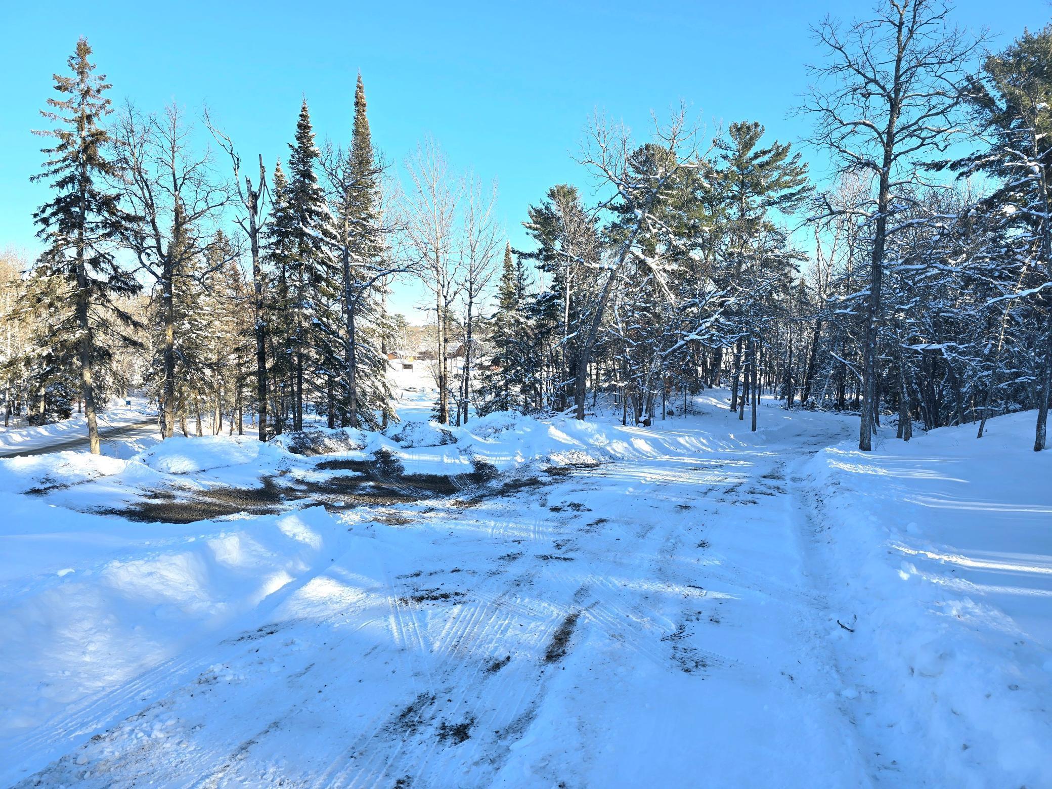 TBD Hwy 11 E Dove Island, International Falls, Minnesota image 12