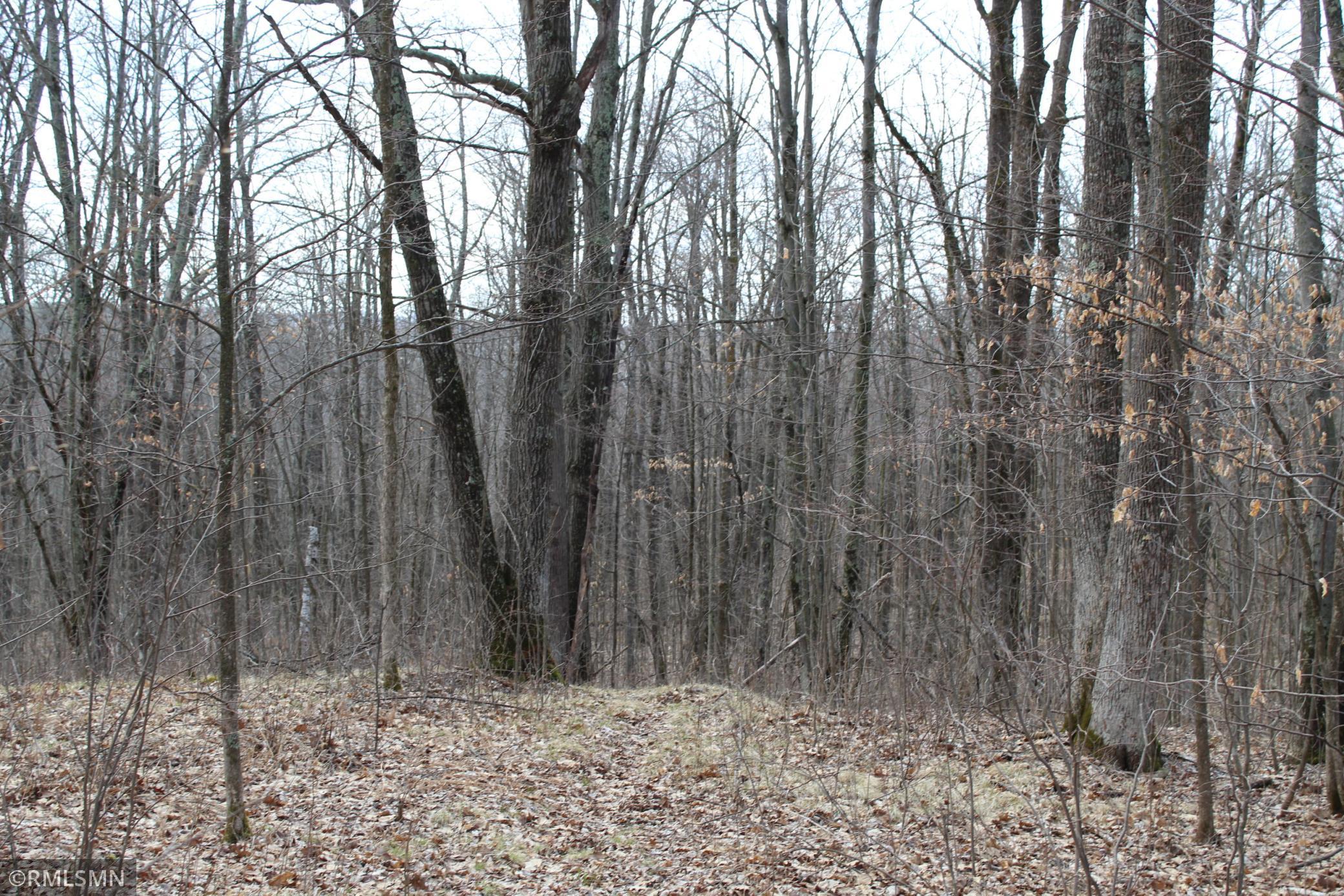 39743 Van Gordon Road, Hinckley, Minnesota image 6
