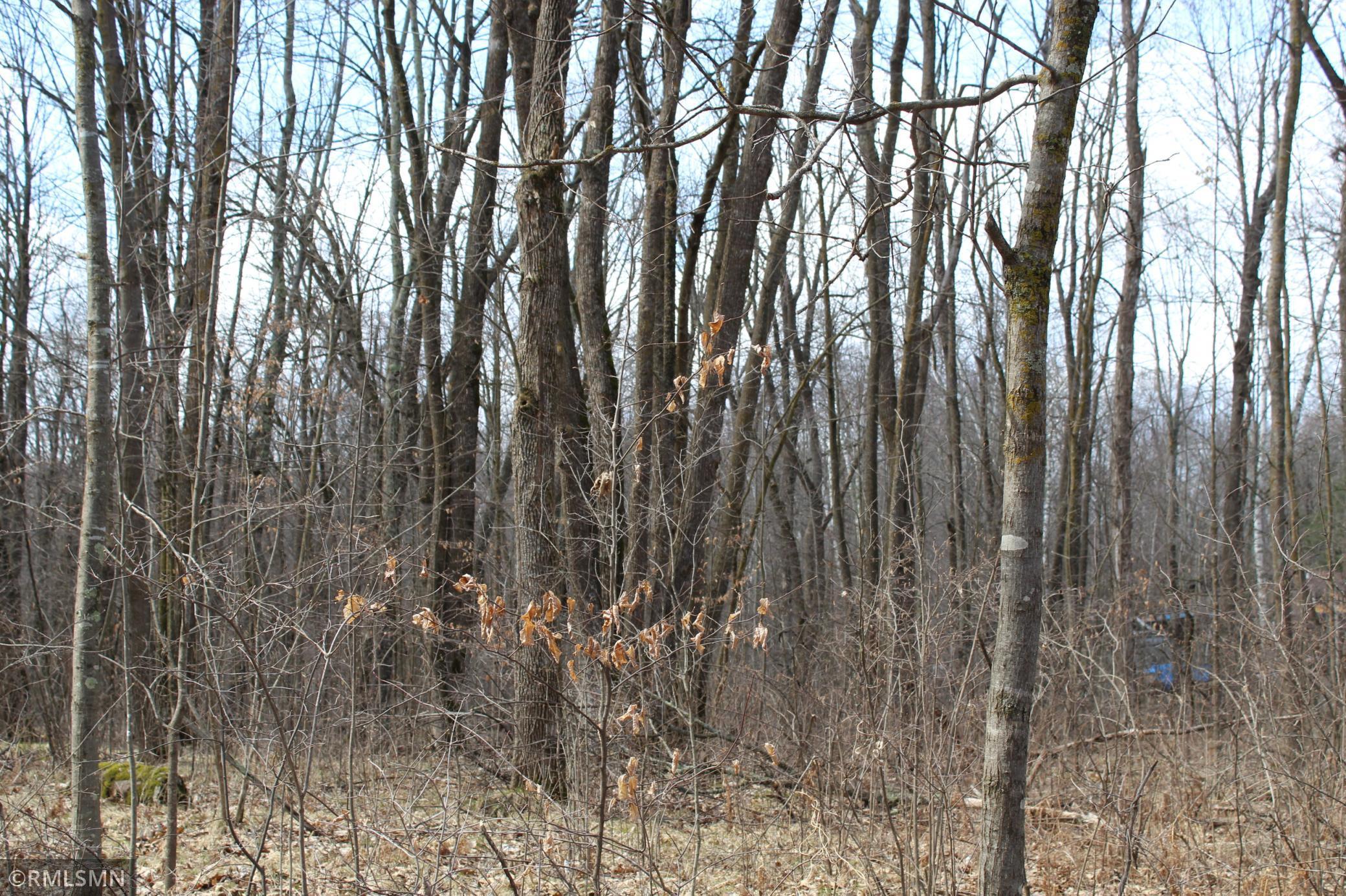 39743 Van Gordon Road, Hinckley, Minnesota image 3