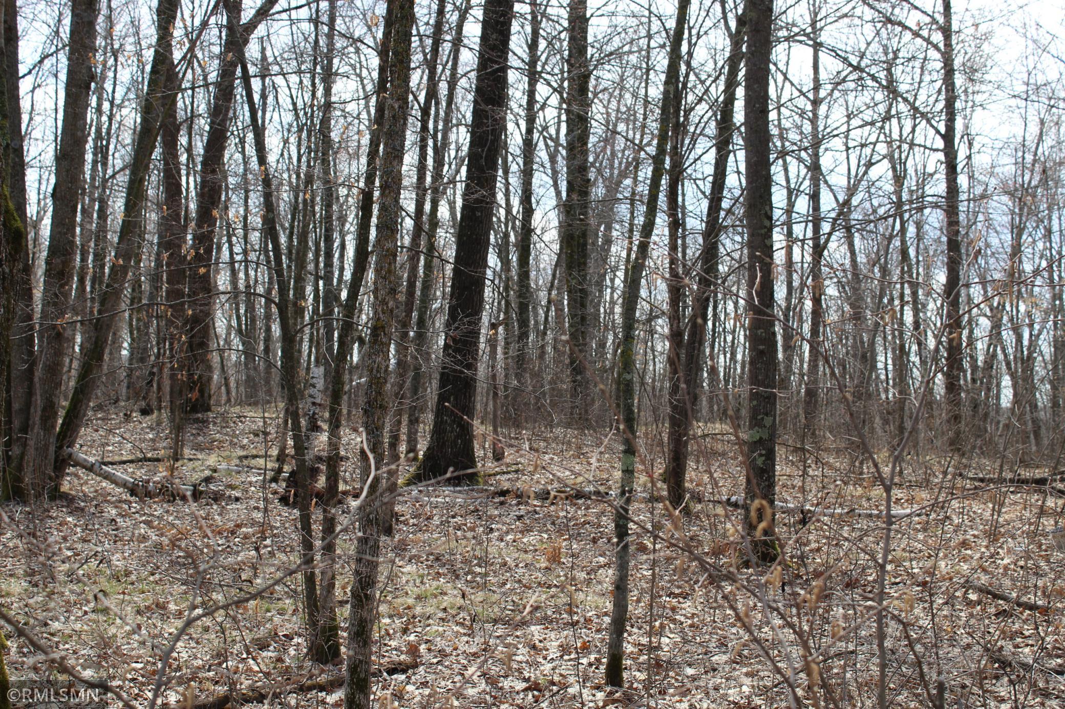 39743 Van Gordon Road, Hinckley, Minnesota image 1