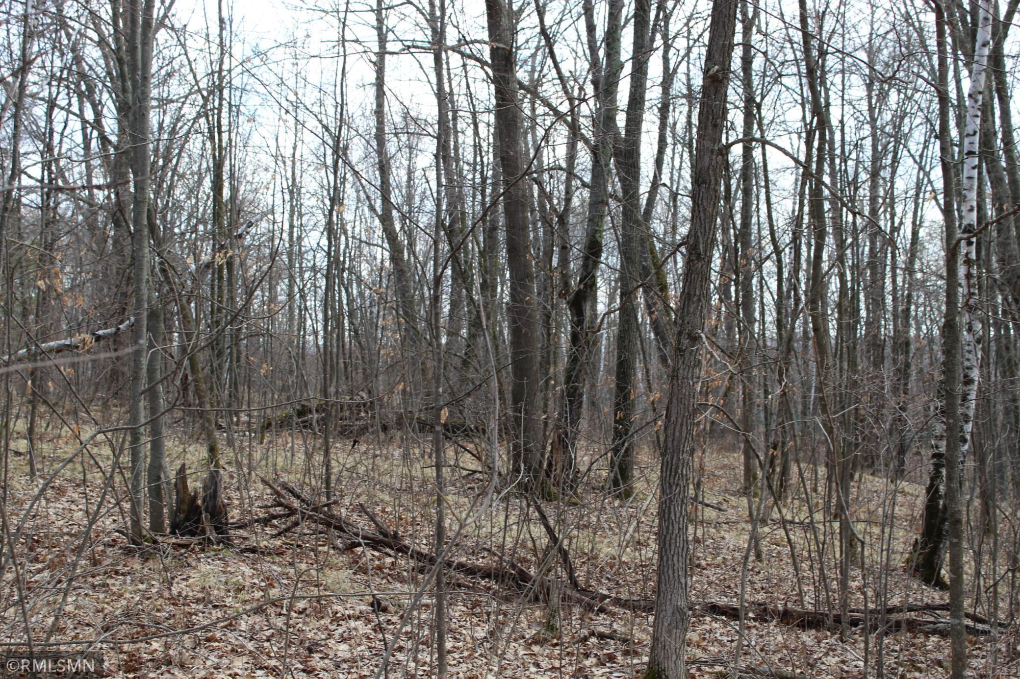 39743 Van Gordon Road, Hinckley, Minnesota image 8