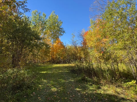 Vacant Land For Sale - 51265 Vagabond Loop<br/> Bemidji, MN 56601
