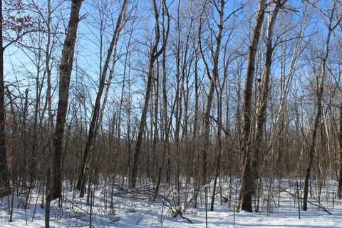 Vacant Land For Sale - 91XX 200th Street<br/> Milaca, MN 56353