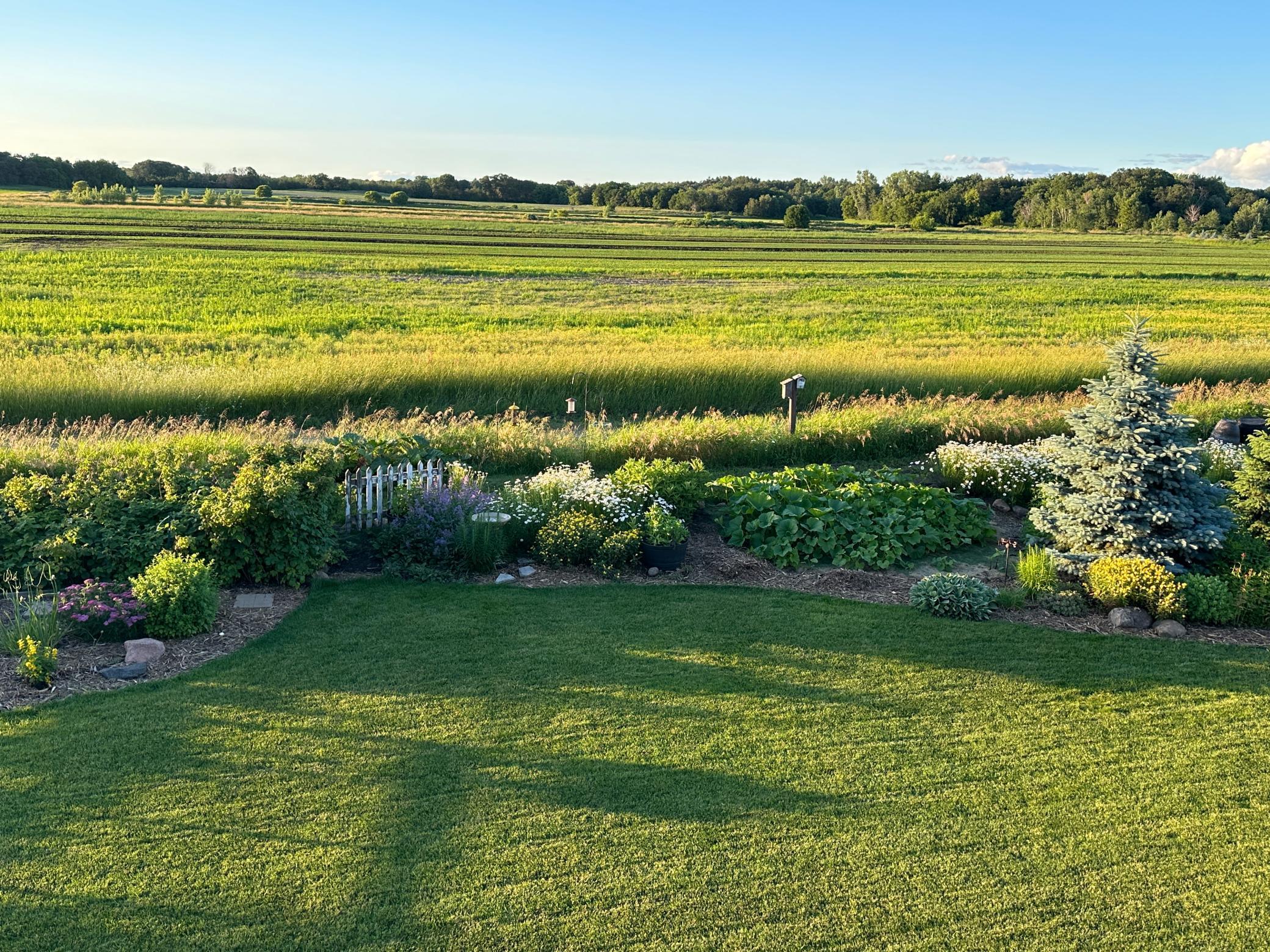 2553 154th Lane, Andover, Minnesota image 47