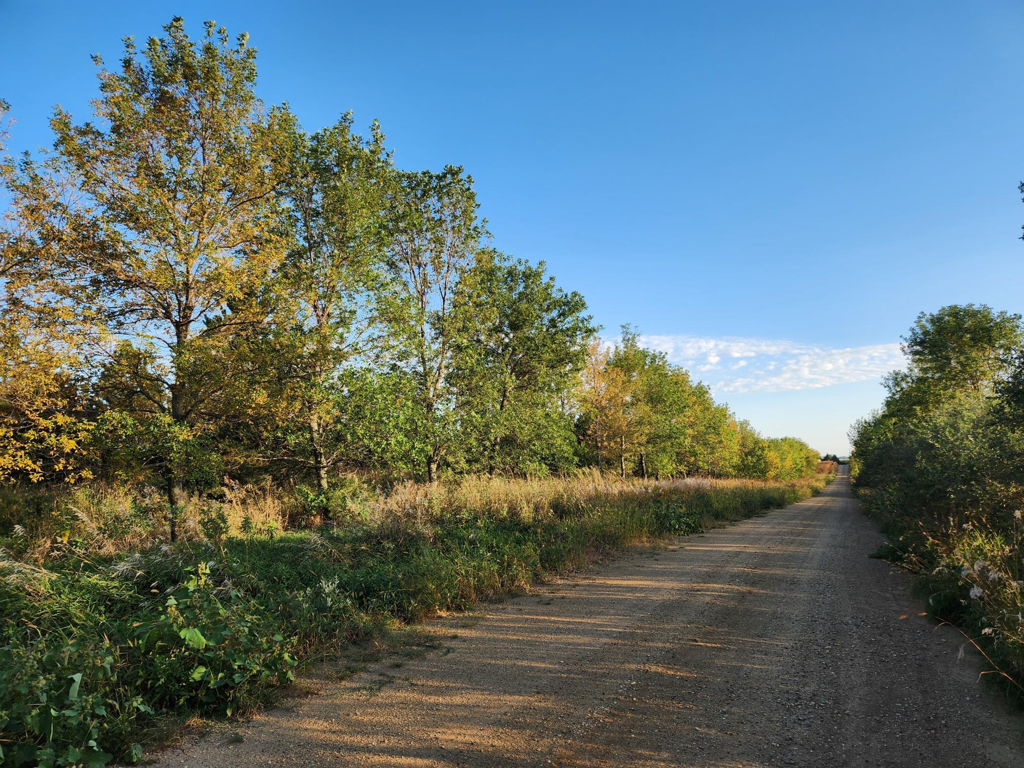 2051 120th Street, Balaton, Minnesota image 33