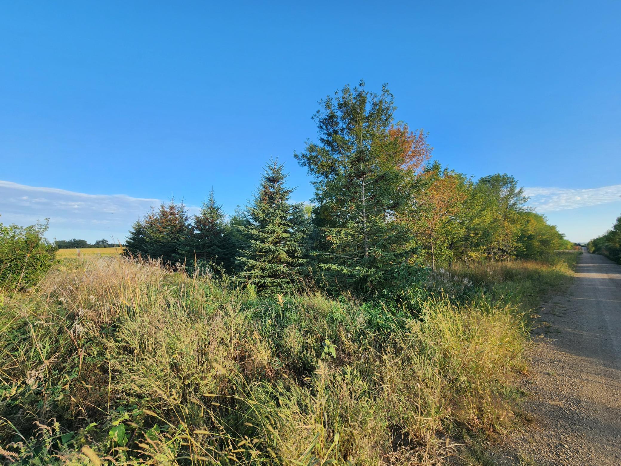 2051 120th Street, Balaton, Minnesota image 31