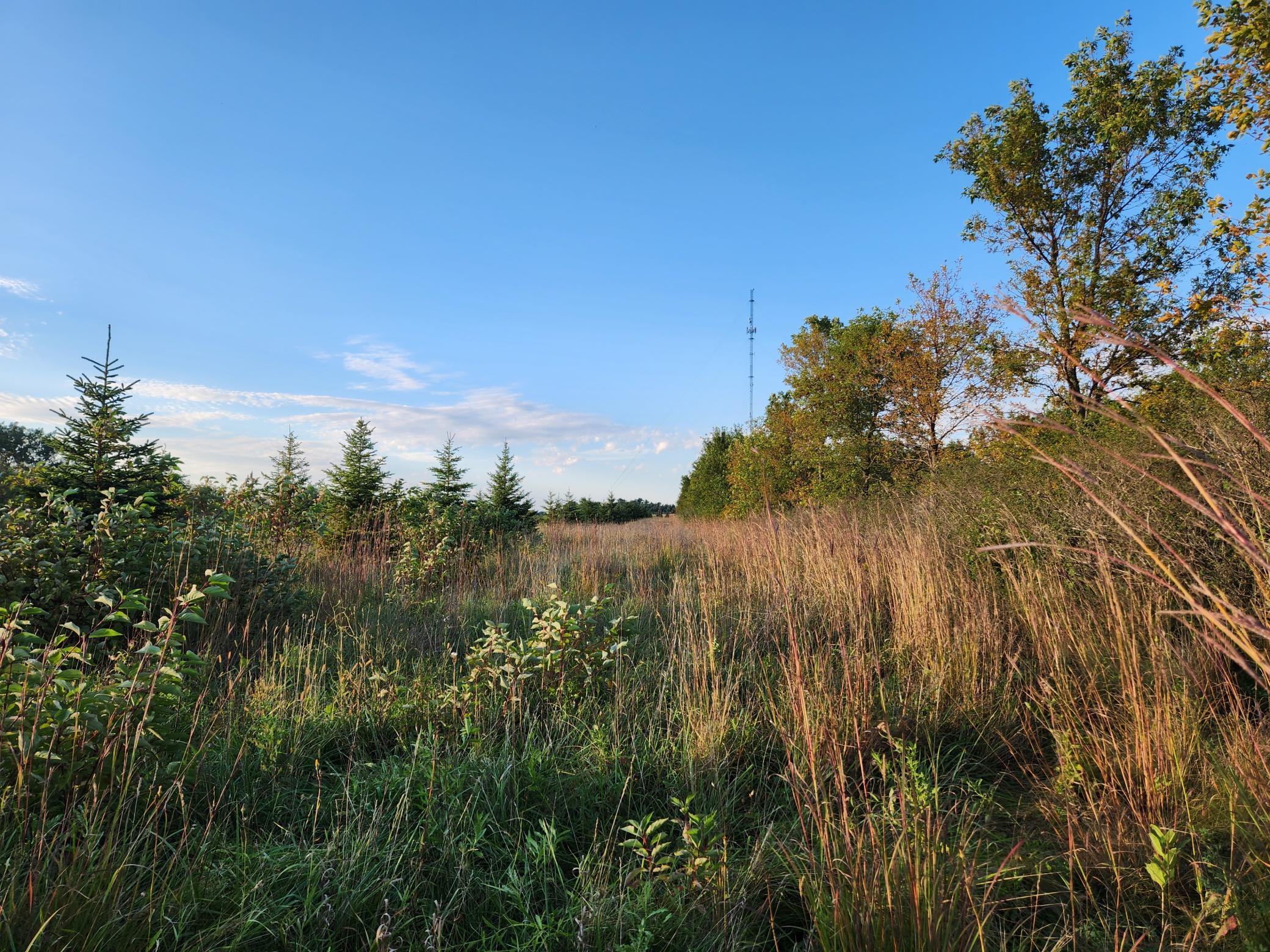 2051 120th Street, Balaton, Minnesota image 26