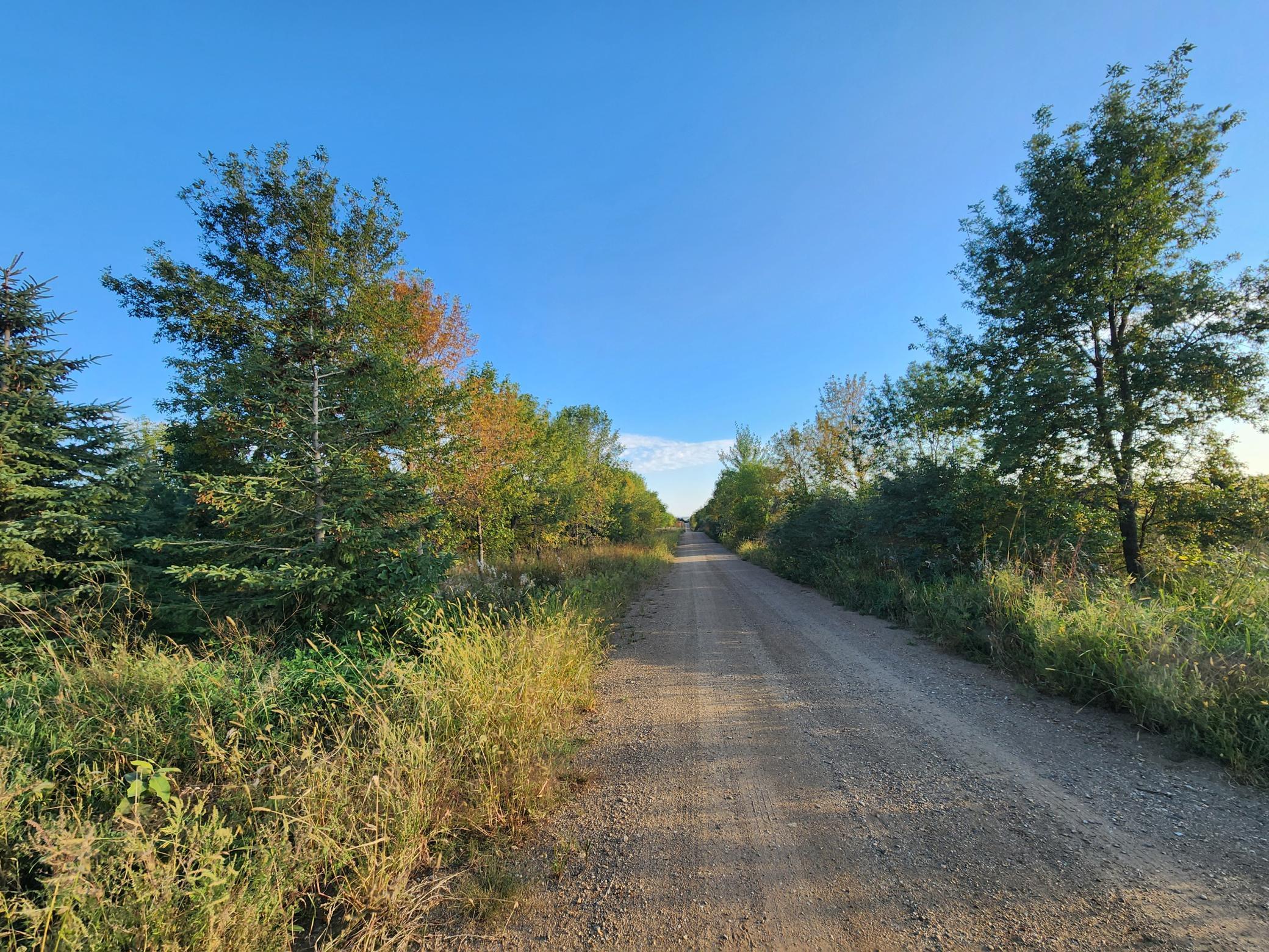 2051 120th Street, Balaton, Minnesota image 21