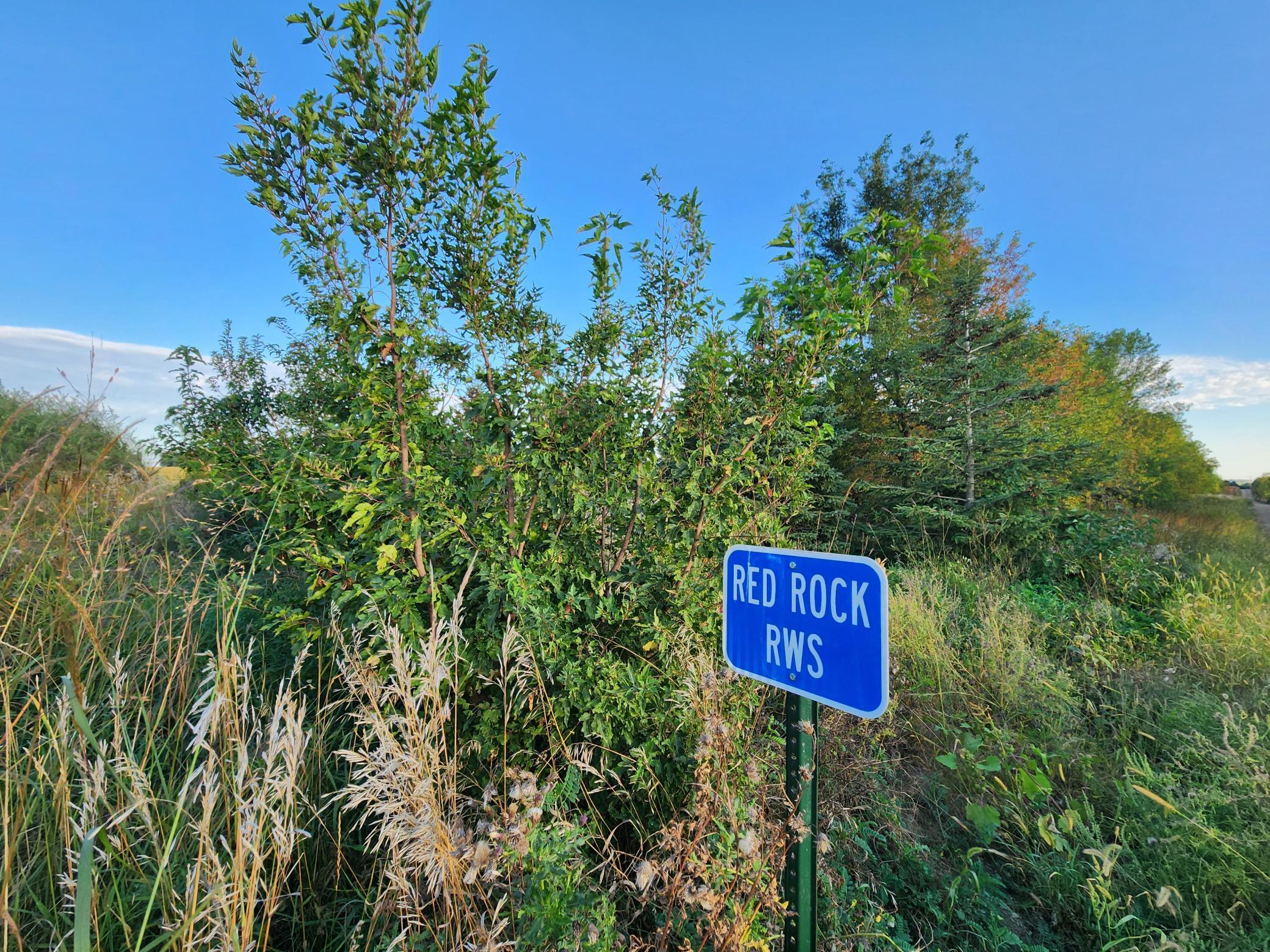 2051 120th Street, Balaton, Minnesota image 35