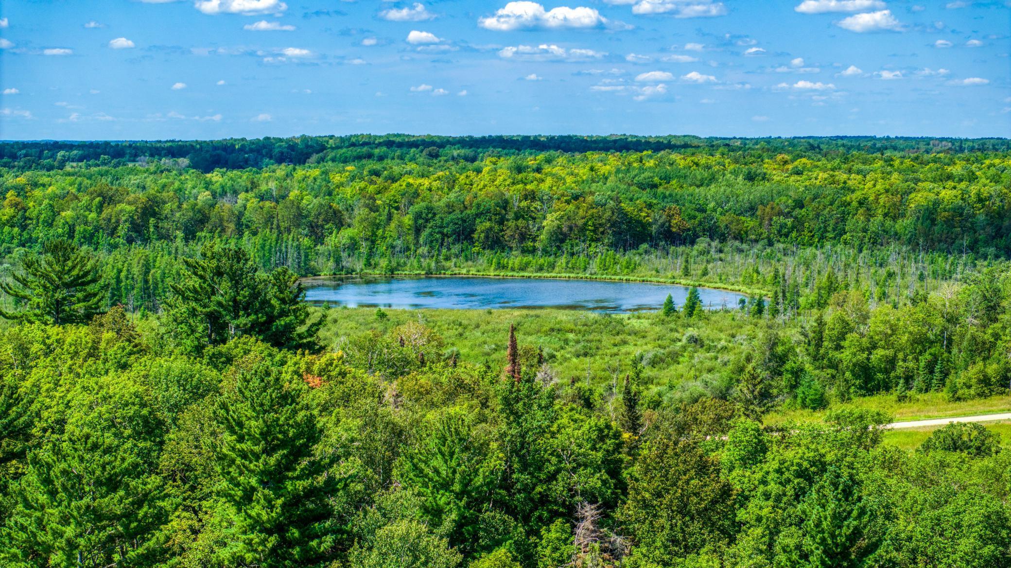 TBD Silver Maple Road, Puposky, Minnesota image 9