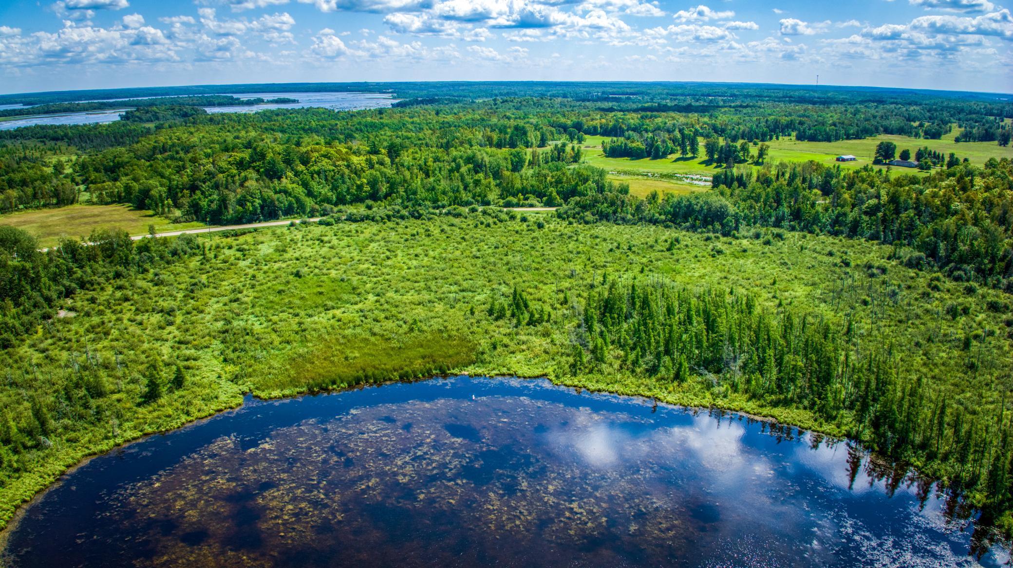 TBD Silver Maple Road, Puposky, Minnesota image 13