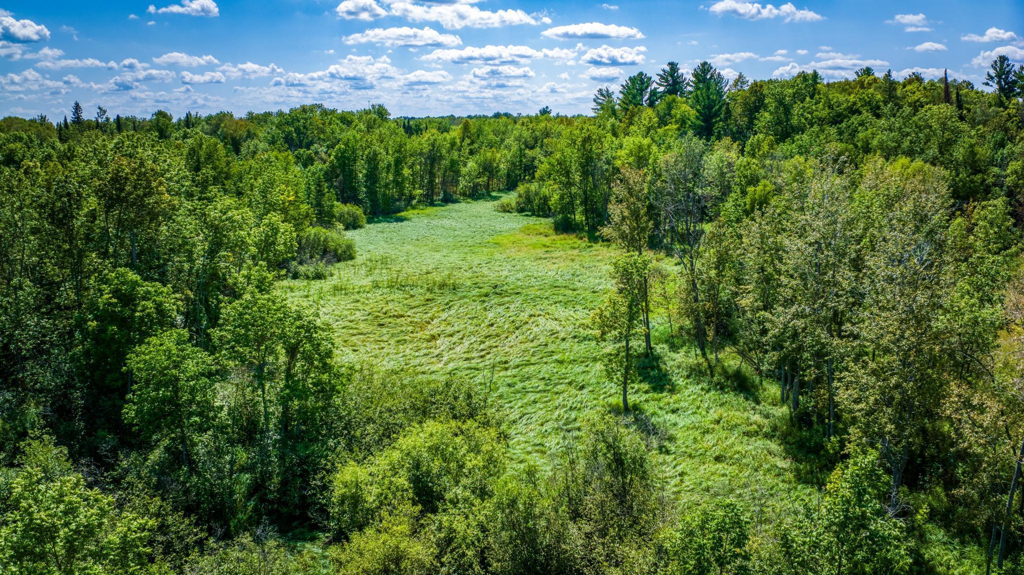 TBD Silver Maple Road, Puposky, Minnesota image 8