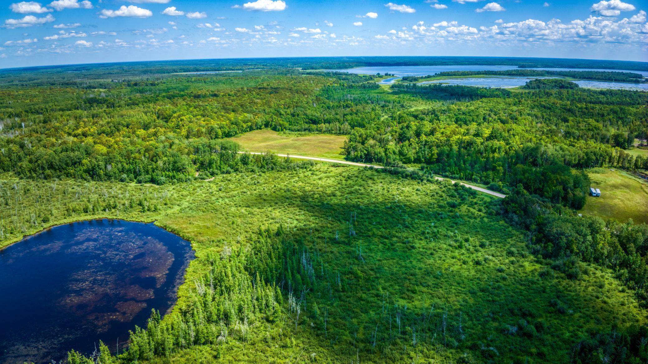 TBD Silver Maple Road, Puposky, Minnesota image 10