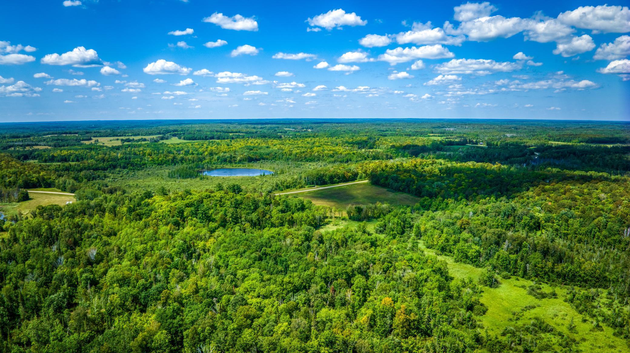 TBD Silver Maple Road, Puposky, Minnesota image 19