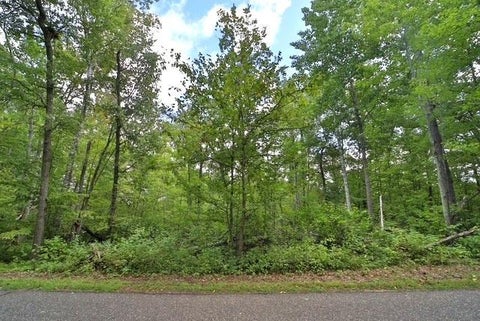 Vacant Land For Sale - TBD Terminal Rd<br/> Breezy Point, MN 56472