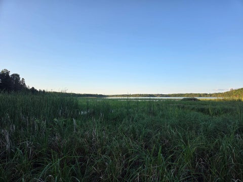 Vacant Land For Sale - TBD (LOT 2) 190th Street<br/> Bagley, MN 56621