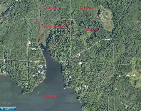 Vacant Land For Sale - TBD Yahoo Point Road<br/> Cook, MN 55723