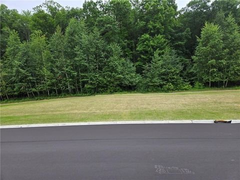 Vacant Land For Sale - 1451 Sykora Lane<br/> Boyceville, WI 54725