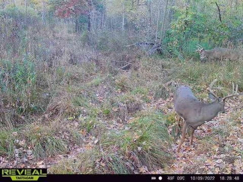 Vacant Land For Sale - 000 Beroun Crossing Rd<br/> Brook Park, MN 55007